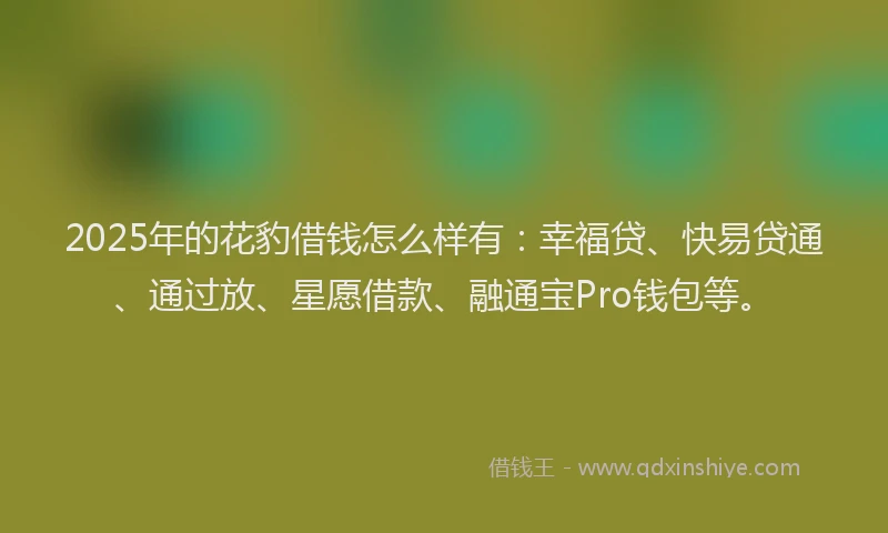 2025年的花豹借钱怎么样有：幸福贷、快易贷通、通过放、星愿借款、融通宝Pro钱包等。
