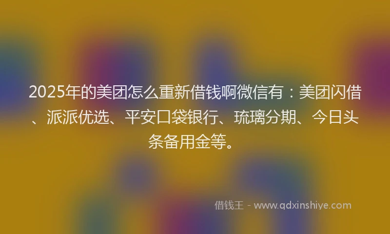 2025年的美团怎么重新借钱啊微信有：美团闪借、派派优选、平安口袋银行、琉璃分期、今日头条备用金等。