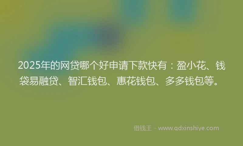 2025年的网贷哪个好申请下款快有：盈小花、钱袋易融贷、智汇钱包、惠花钱包、多多钱包等。