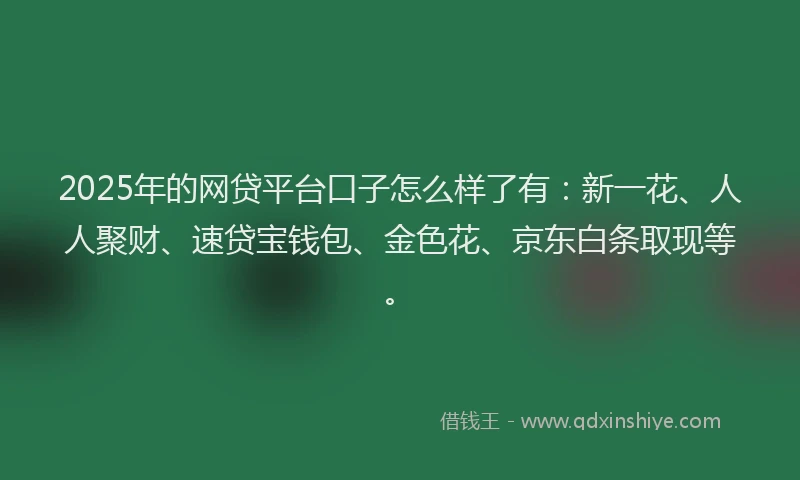 2025年的网贷平台口子怎么样了有：新一花、人人聚财、速贷宝钱包、金色花、京东白条取现等。