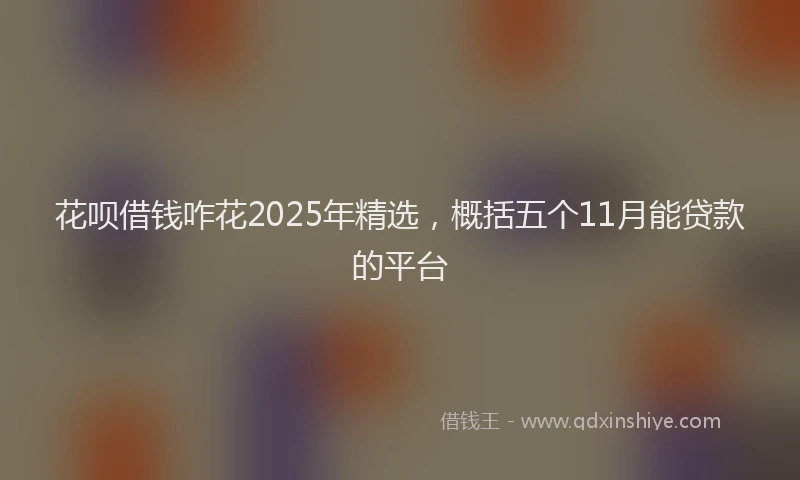 花呗借钱咋花2025年精选，概括五个11月能贷款的平台