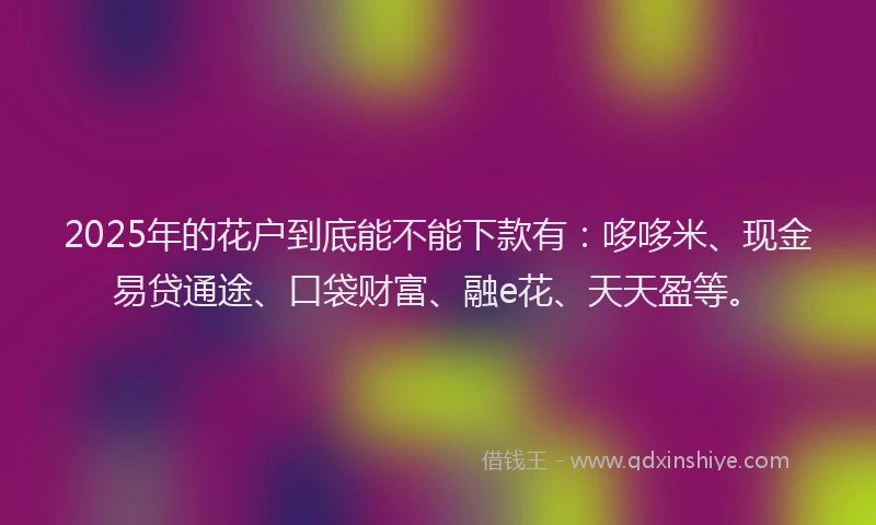 2025年的花户到底能不能下款有：哆哆米、现金易贷通途、口袋财富、融e花、天天盈等。