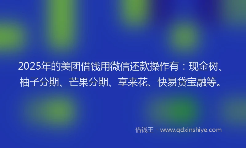 2025年的美团借钱用微信还款操作有：现金树、柚子分期、芒果分期、享来花、快易贷宝融等。