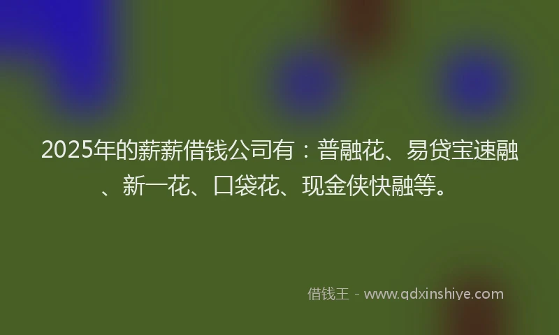 2025年的薪薪借钱公司有：普融花、易贷宝速融、新一花、口袋花、现金侠快融等。