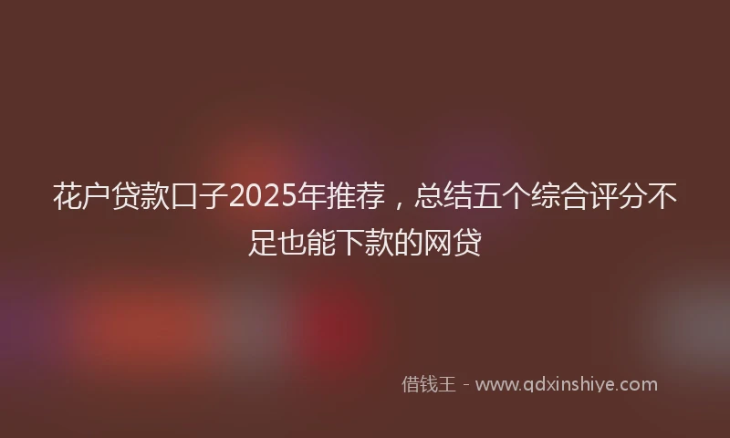 花户贷款口子2025年推荐，总结五个综合评分不足也能下款的网贷