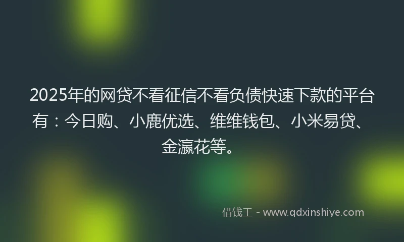 2025年的网贷不看征信不看负债快速下款的平台有：今日购、小鹿优选、维维钱包、小米易贷、金瀛花等。