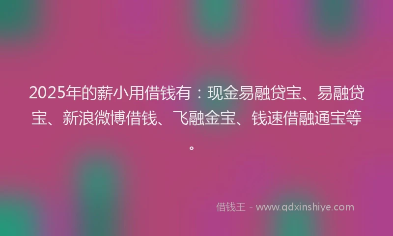 2025年的薪小用借钱有：现金易融贷宝、易融贷宝、新浪微博借钱、飞融金宝、钱速借融通宝等。