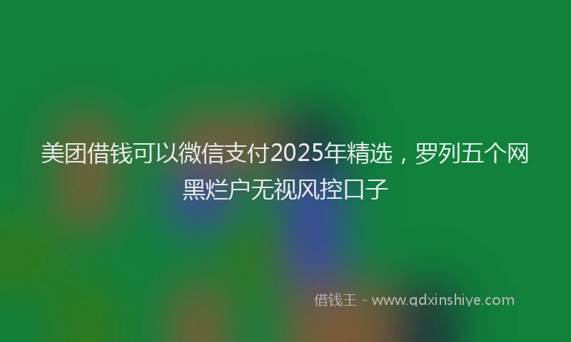 美团借钱可以微信支付2025年精选，罗列五个网黑烂户无视风控口子