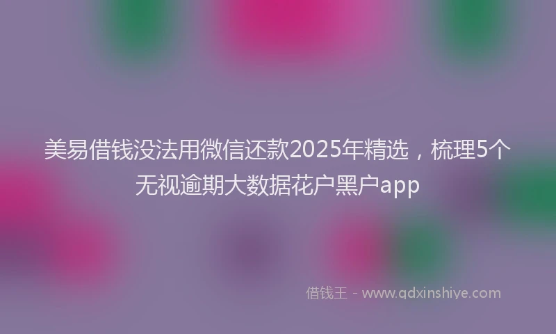 美易借钱没法用微信还款2025年精选，梳理5个无视逾期大数据花户黑户app