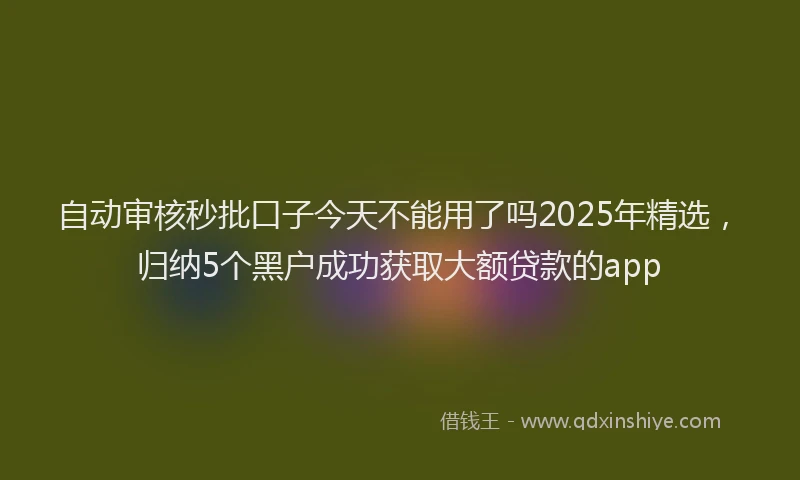 自动审核秒批口子今天不能用了吗2025年精选，归纳5个黑户成功获取大额贷款的app