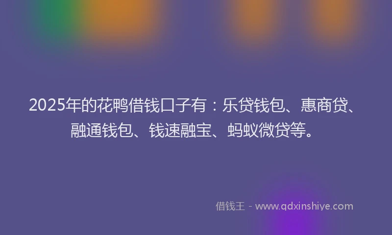 2025年的花鸭借钱口子有：乐贷钱包、惠商贷、融通钱包、钱速融宝、蚂蚁微贷等。