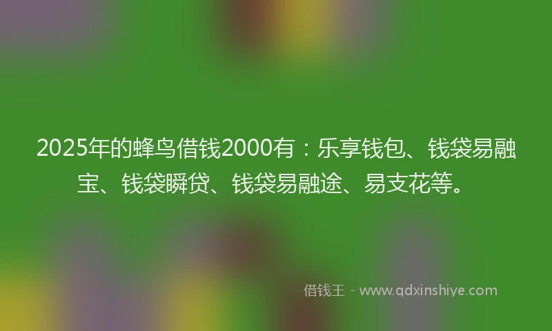 2025年的蜂鸟借钱2000有：乐享钱包、钱袋易融宝、钱袋瞬贷、钱袋易融途、易支花等。