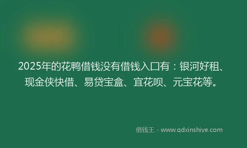 2025年的花鸭借钱没有借钱入囗有：银河好租、现金侠快借、易贷宝盒、宜花呗、元宝花等。