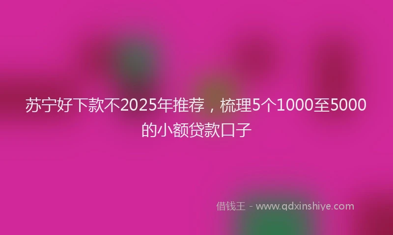 苏宁好下款不2025年推荐，梳理5个1000至5000的小额贷款口子