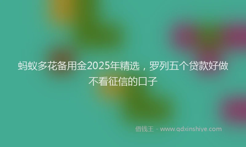蚂蚁多花备用金2025年精选，罗列五个贷款好做不看征信的口子