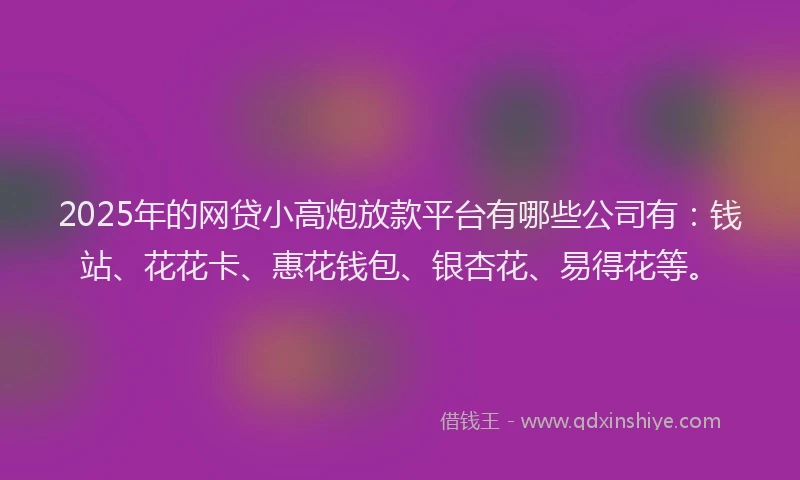 2025年的网贷小高炮放款平台有哪些公司有：钱站、花花卡、惠花钱包、银杏花、易得花等。