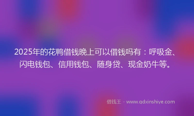 2025年的花鸭借钱晚上可以借钱吗有：呼吸金、闪电钱包、信用钱包、随身贷、现金奶牛等。