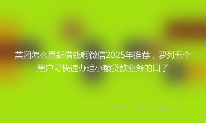 美团怎么重新借钱啊微信2025年推荐，罗列五个黑户可快速办理小额贷款业务的口子