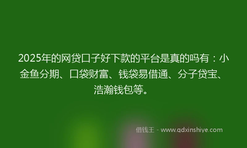 2025年的网贷口子好下款的平台是真的吗有：小金鱼分期、口袋财富、钱袋易借通、分子贷宝、浩瀚钱包等。
