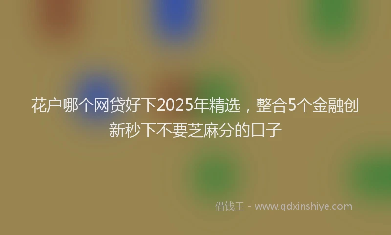 花户哪个网贷好下2025年精选，整合5个金融创新秒下不要芝麻分的口子