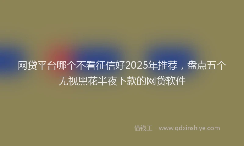 网贷平台哪个不看征信好2025年推荐，盘点五个无视黑花半夜下款的网贷软件