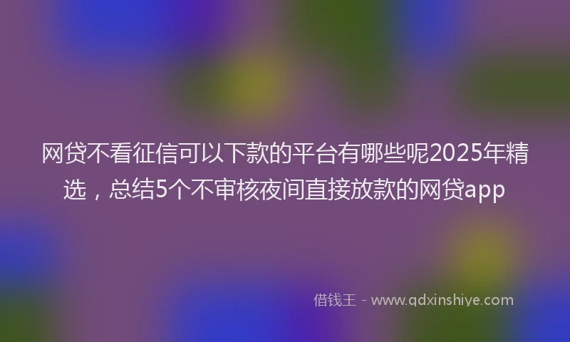 网贷不看征信可以下款的平台有哪些呢2025年精选，总结5个不审核夜间直接放款的网贷app