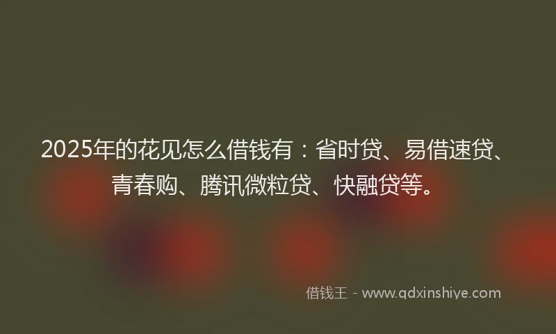 2025年的花见怎么借钱有：省时贷、易借速贷、青春购、腾讯微粒贷、快融贷等。