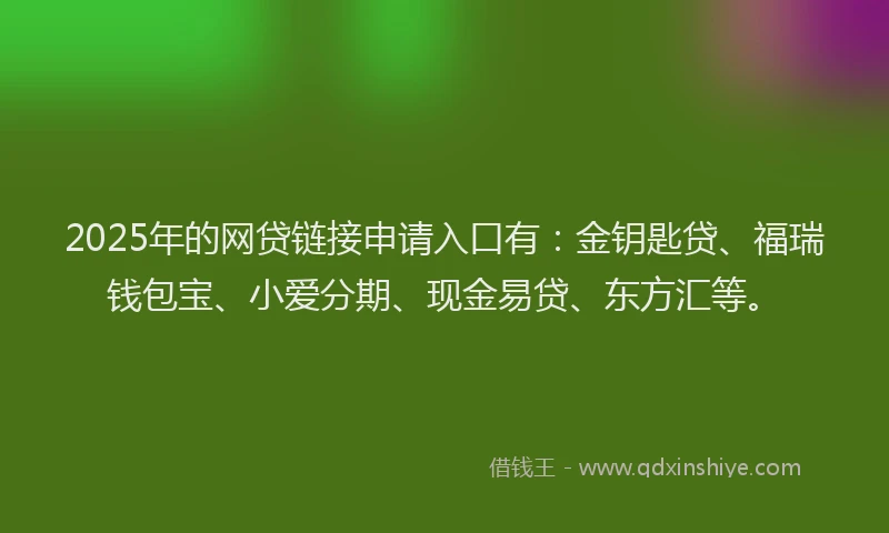 2025年的网贷链接申请入口有：金钥匙贷、福瑞钱包宝、小爱分期、现金易贷、东方汇等。