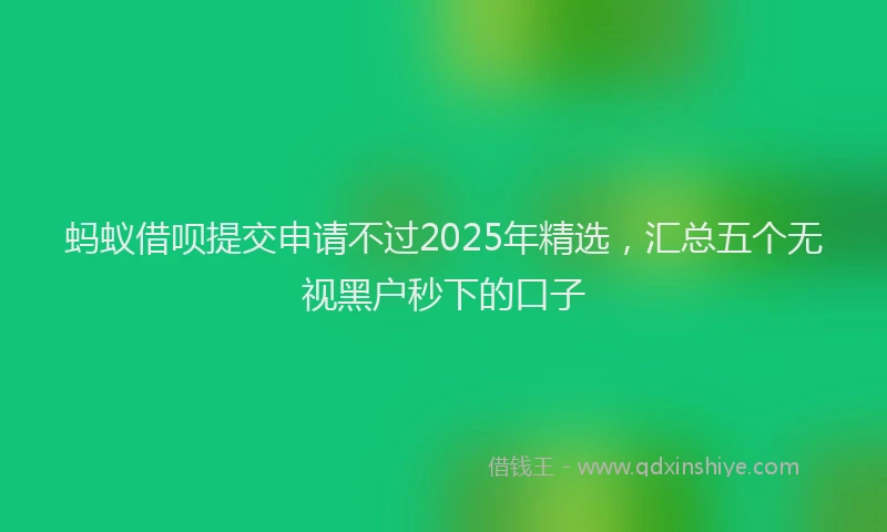 蚂蚁借呗提交申请不过2025年精选，汇总五个无视黑户秒下的口子