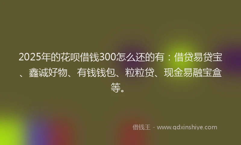 2025年的花呗借钱300怎么还的有：借贷易贷宝、鑫诚好物、有钱钱包、粒粒贷、现金易融宝盒等。