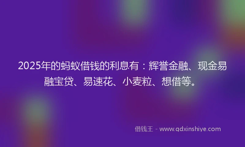 2025年的蚂蚁借钱的利息有：辉誉金融、现金易融宝贷、易速花、小麦粒、想借等。