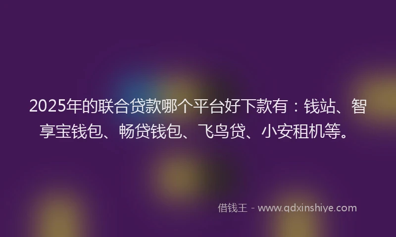 2025年的联合贷款哪个平台好下款有：钱站、智享宝钱包、畅贷钱包、飞鸟贷、小安租机等。