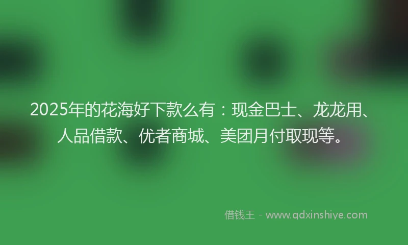 2025年的花海好下款么有：现金巴士、龙龙用、人品借款、优者商城、美团月付取现等。