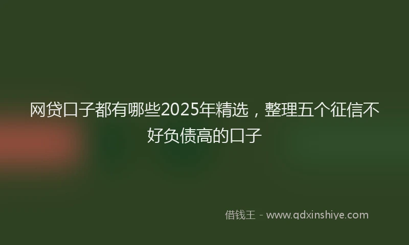 网贷口子都有哪些2025年精选，整理五个征信不好负债高的口子
