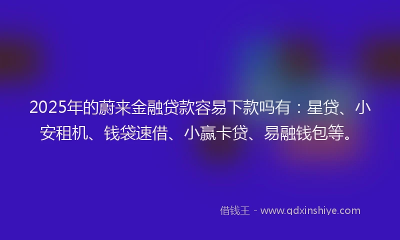 2025年的蔚来金融贷款容易下款吗有：星贷、小安租机、钱袋速借、小赢卡贷、易融钱包等。