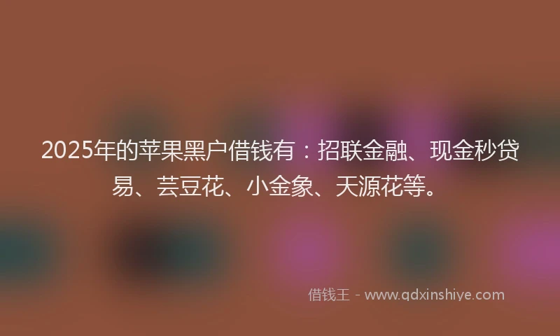 2025年的苹果黑户借钱有：招联金融、现金秒贷易、芸豆花、小金象、天源花等。