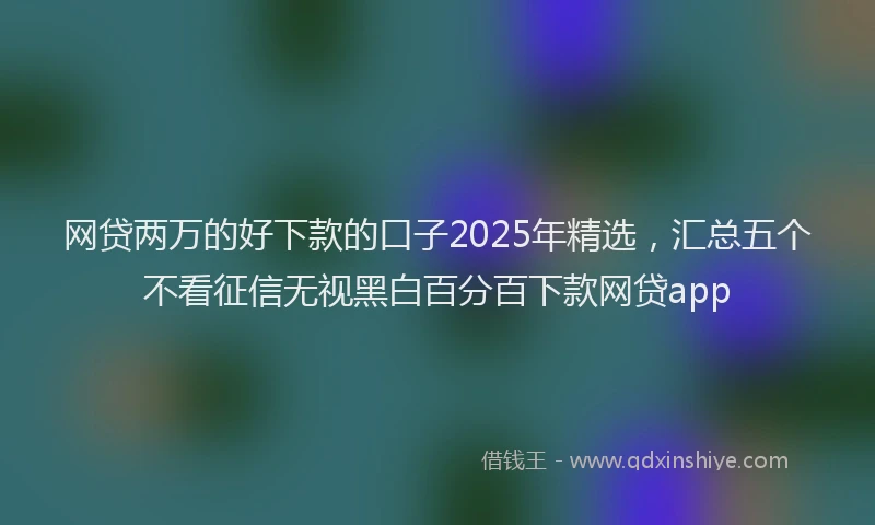 网贷两万的好下款的口子2025年精选，汇总五个不看征信无视黑白百分百下款网贷app