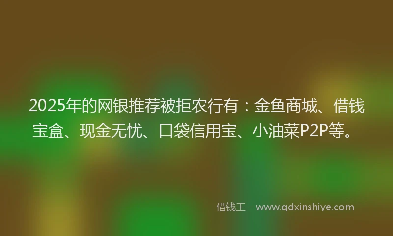 2025年的网银推荐被拒农行有：金鱼商城、借钱宝盒、现金无忧、口袋信用宝、小油菜P2P等。