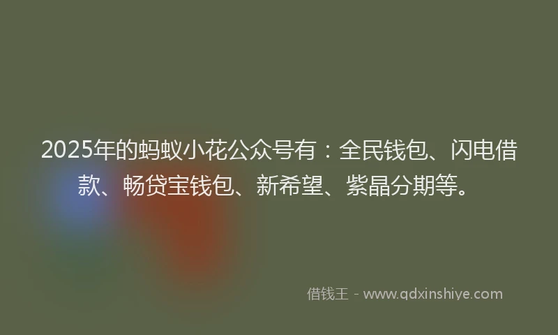 2025年的蚂蚁小花公众号有：全民钱包、闪电借款、畅贷宝钱包、新希望、紫晶分期等。