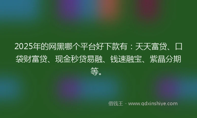 2025年的网黑哪个平台好下款有：天天富贷、口袋财富贷、现金秒贷易融、钱速融宝、紫晶分期等。