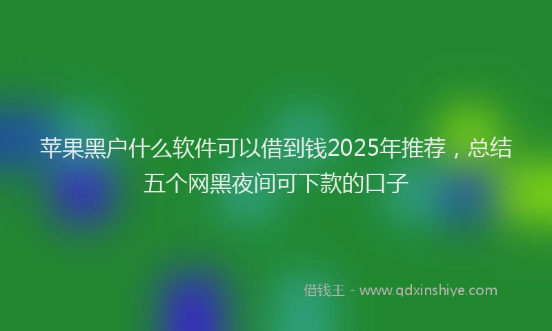 苹果黑户什么软件可以借到钱2025年推荐，总结五个网黑夜间可下款的口子