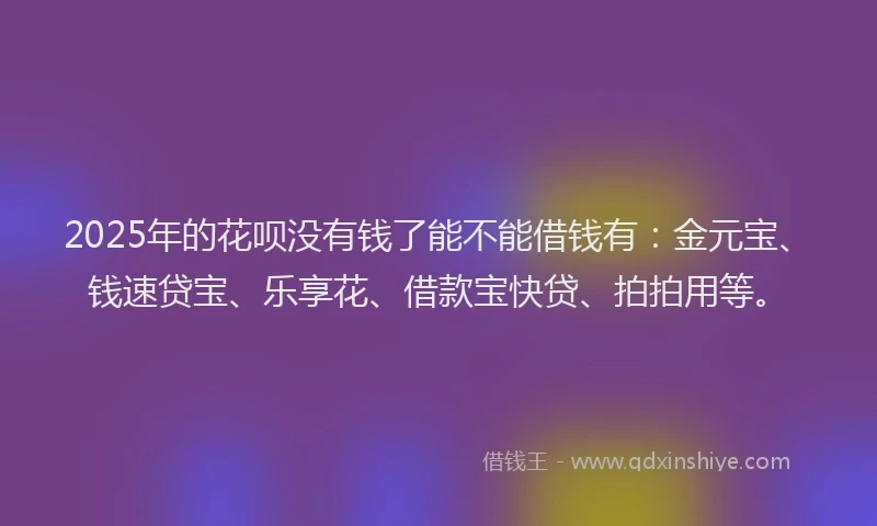 2025年的花呗没有钱了能不能借钱有：金元宝、钱速贷宝、乐享花、借款宝快贷、拍拍用等。
