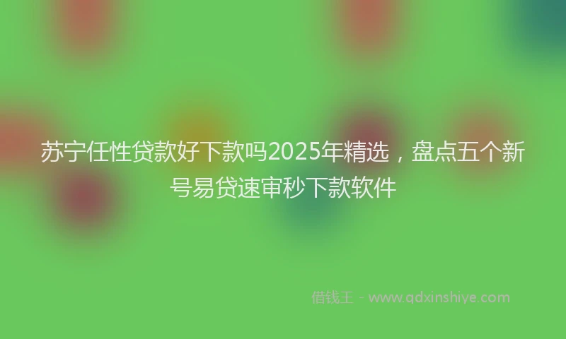 苏宁任性贷款好下款吗2025年精选，盘点五个新号易贷速审秒下款软件
