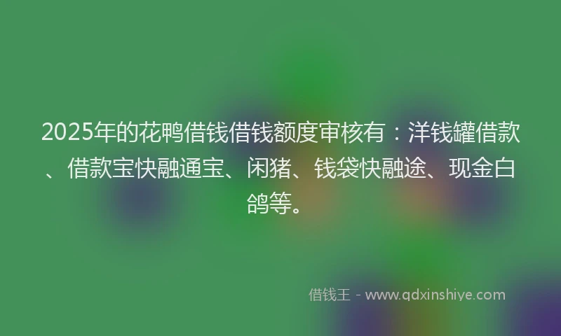 2025年的花鸭借钱借钱额度审核有：洋钱罐借款、借款宝快融通宝、闲猪、钱袋快融途、现金白鸽等。