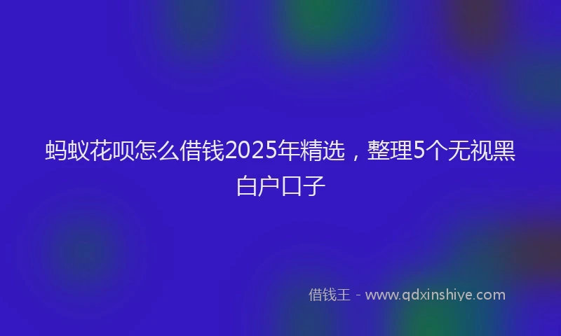 蚂蚁花呗怎么借钱2025年精选，整理5个无视黑白户口子