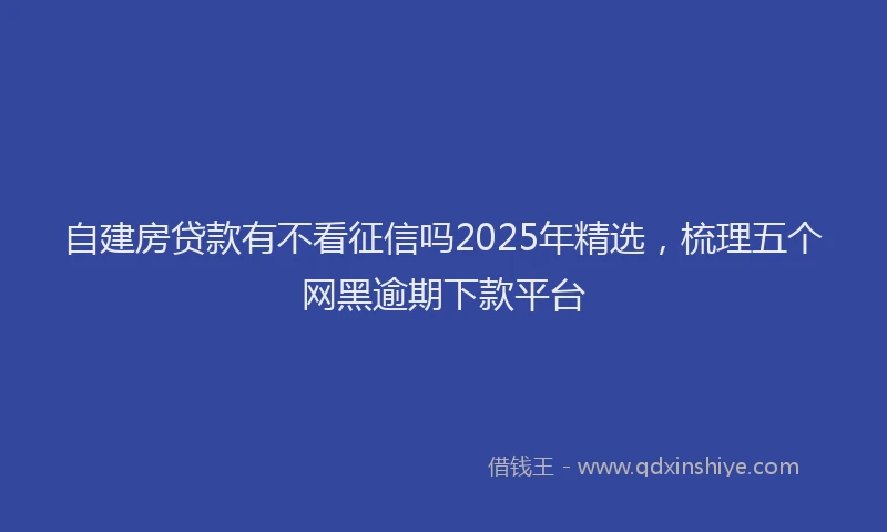 自建房贷款有不看征信吗2025年精选，梳理五个网黑逾期下款平台