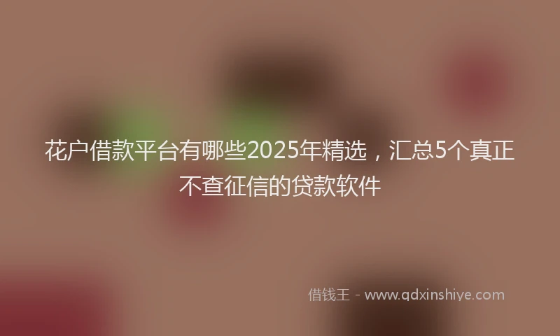 花户借款平台有哪些2025年精选，汇总5个真正不查征信的贷款软件