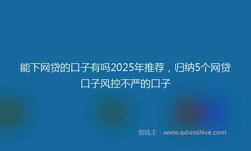 能下网贷的口子有吗2025年推荐，归纳5个网贷口子风控不严的口子