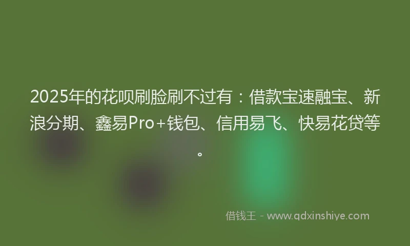 2025年的花呗刷脸刷不过有：借款宝速融宝、新浪分期、鑫易Pro+钱包、信用易飞、快易花贷等。