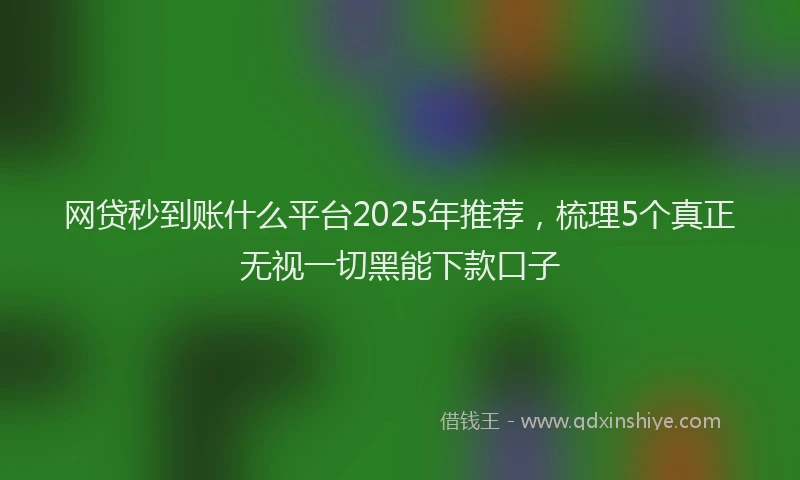 网贷秒到账什么平台2025年推荐，梳理5个真正无视一切黑能下款口子
